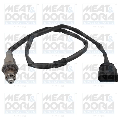 Oxygen Sensor